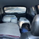 Doja The Cat - The Official Mascot of The DJ Sessions