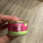 Doja The Cat - The Official Mascot of The DJ Sessions