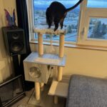 Doja The Cat - The Official Mascot of The DJ Sessions