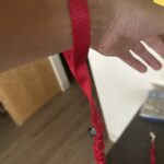 Doja The Cat - The Official Mascot of The DJ Sessions